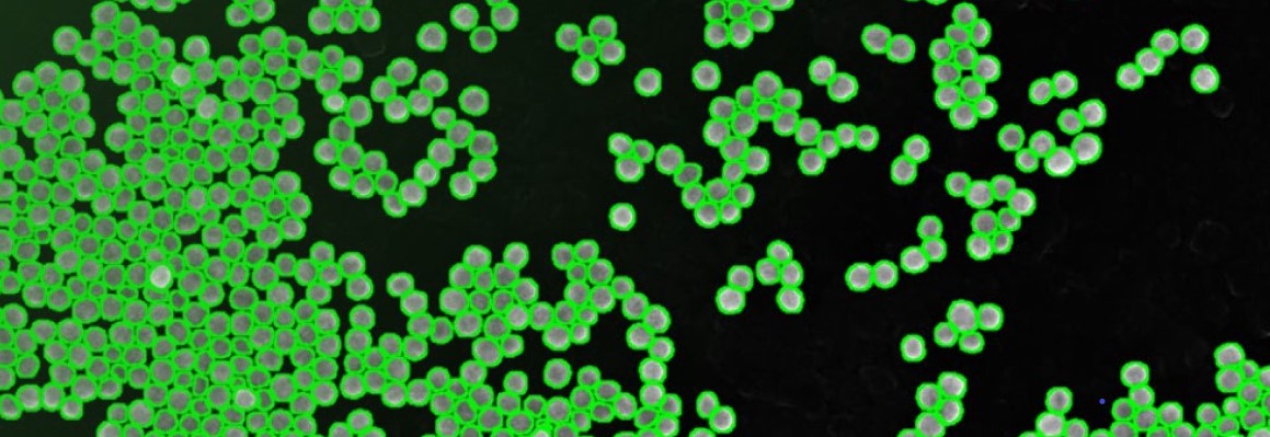 Eisenoxid Nanowürfel